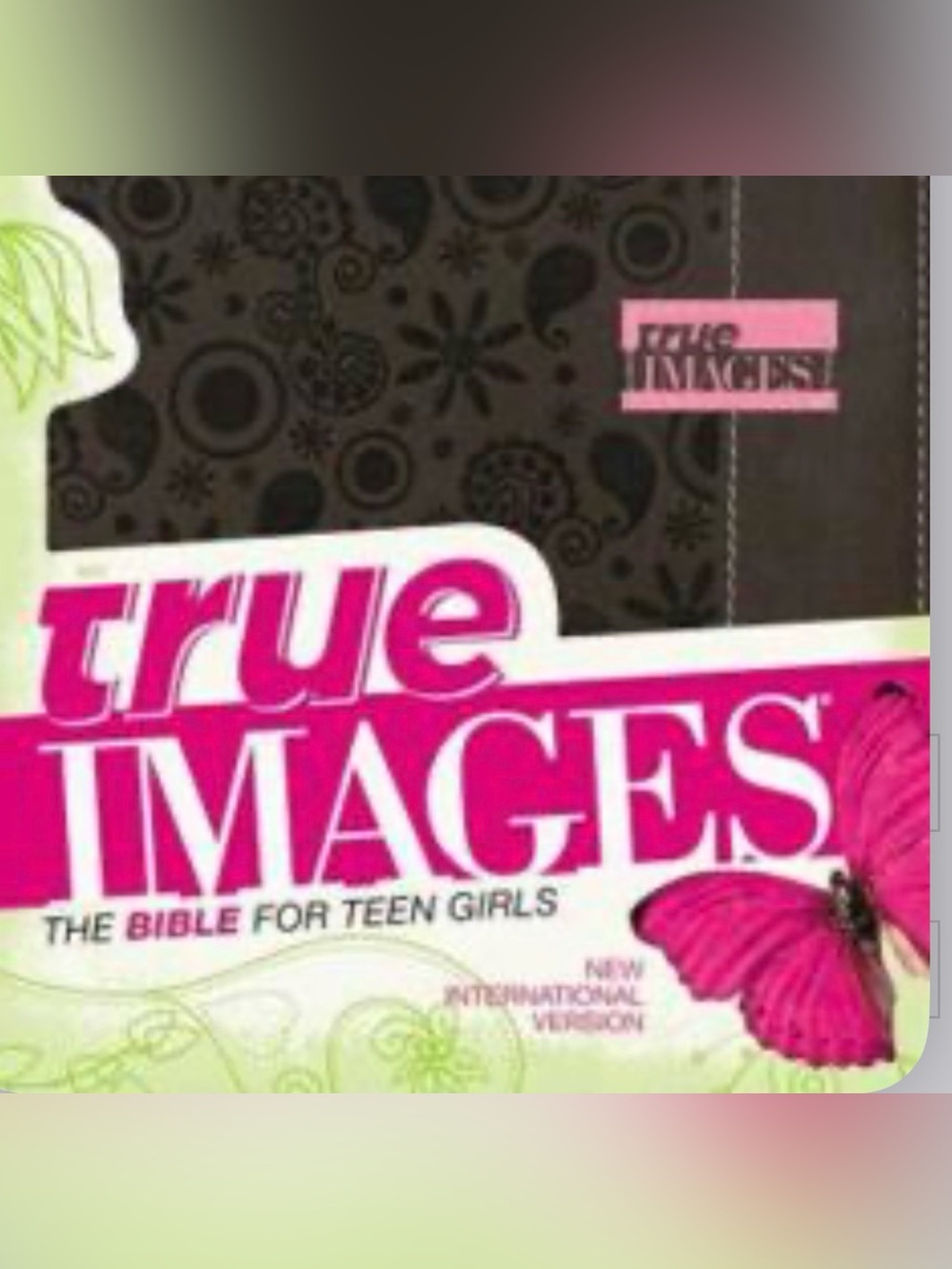 Christian Girl BUNDLE Books & BIBLE Leather Pink Highlighted NIV